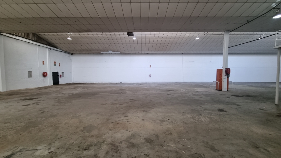 To Let commercial Property for Rent in Beaconvale Western Cape